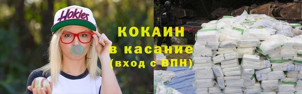 гашик Богданович