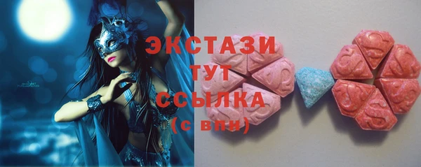 тгк Богородицк