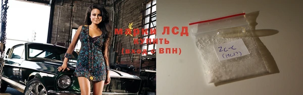 гашик Богданович