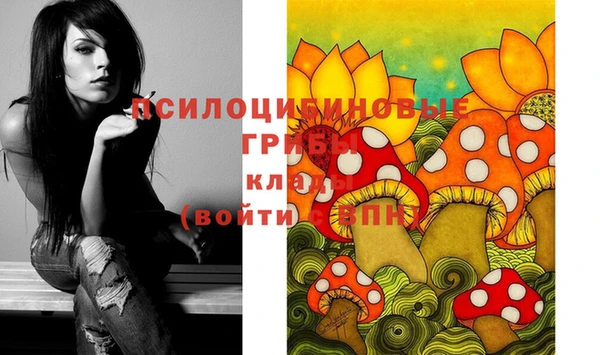 гашик Богданович