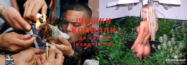 тгк Богородицк
